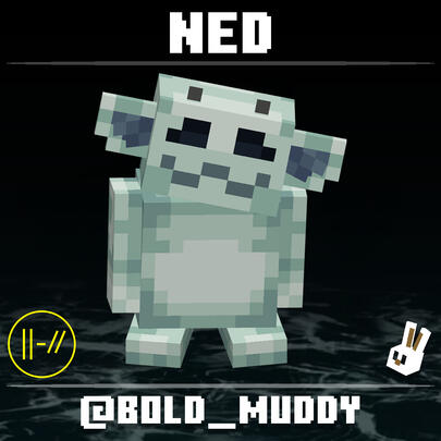 Ned